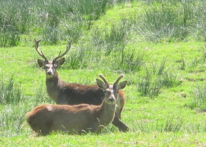 Simmerlwirt فندق نيديراو