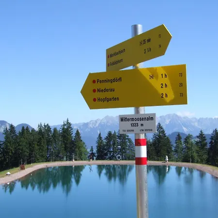 מלון Simmerlwirt 3*